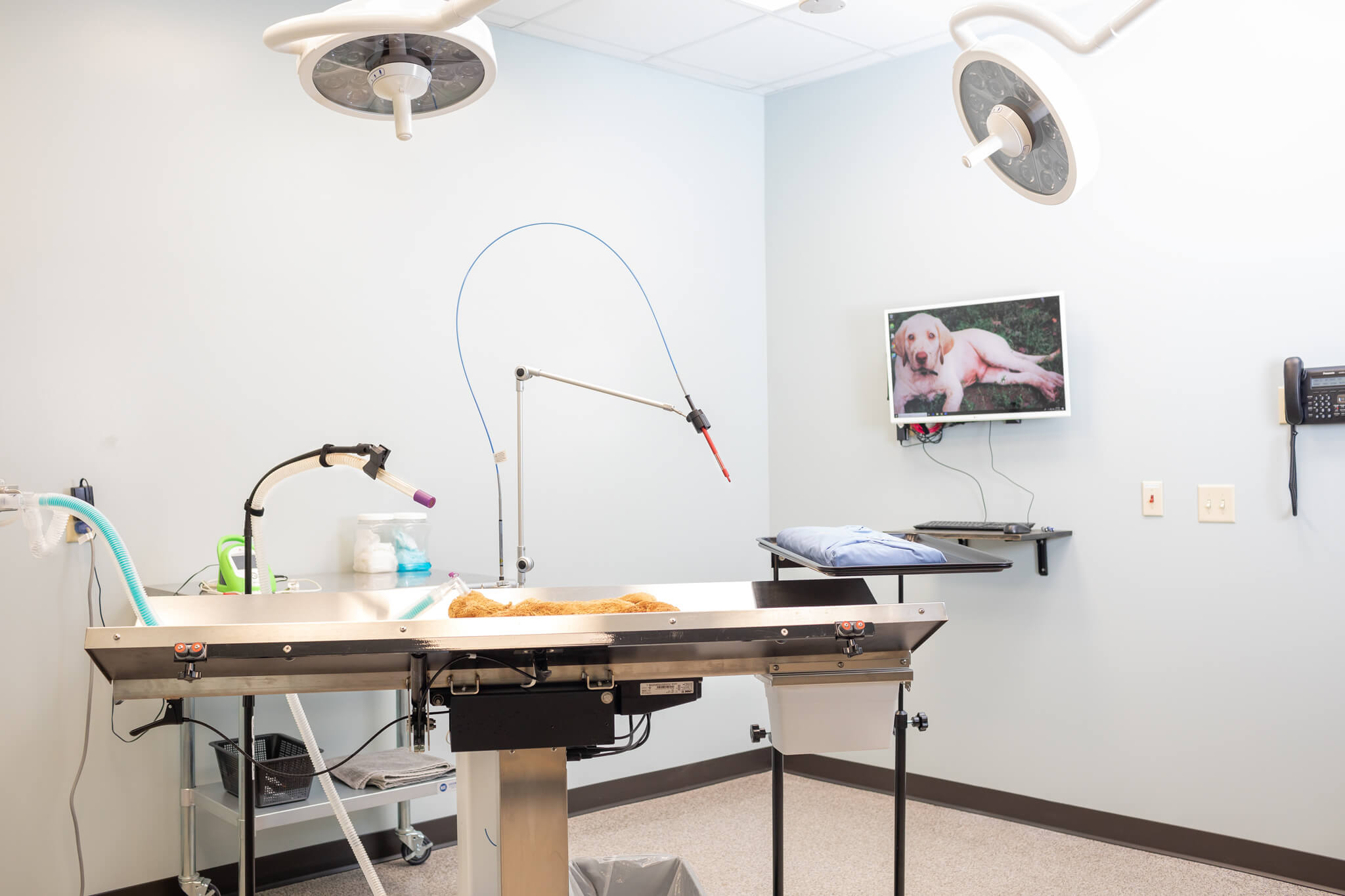 Surgery Suite #1 at The Hometown Veterinarian