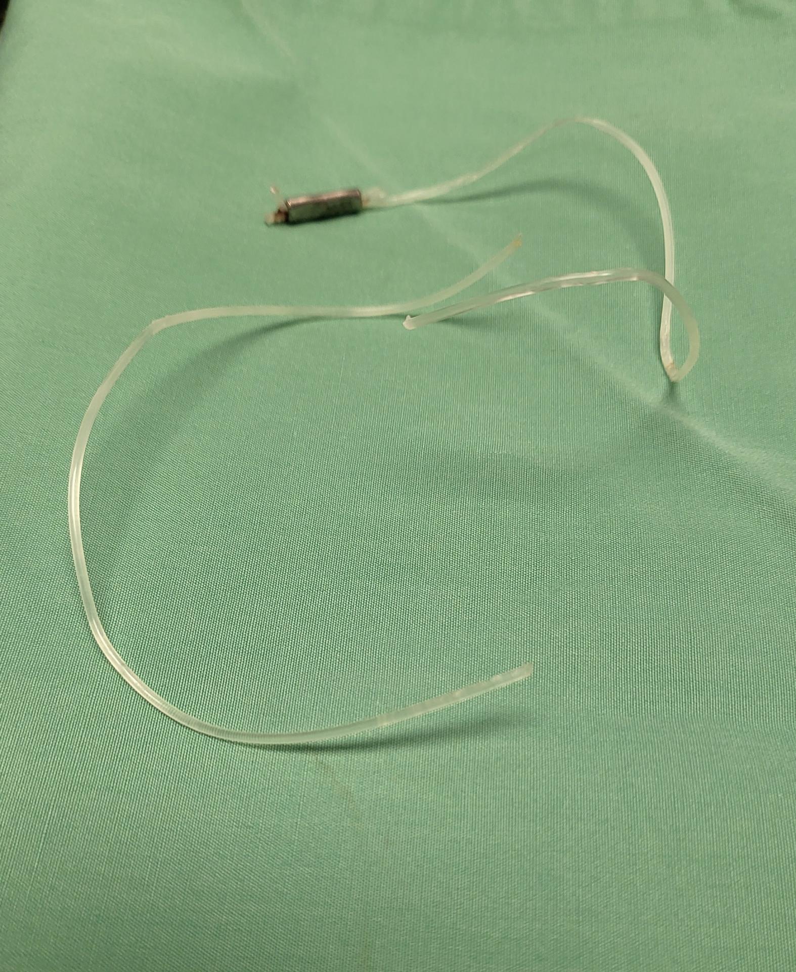 Broken Lateral Suture