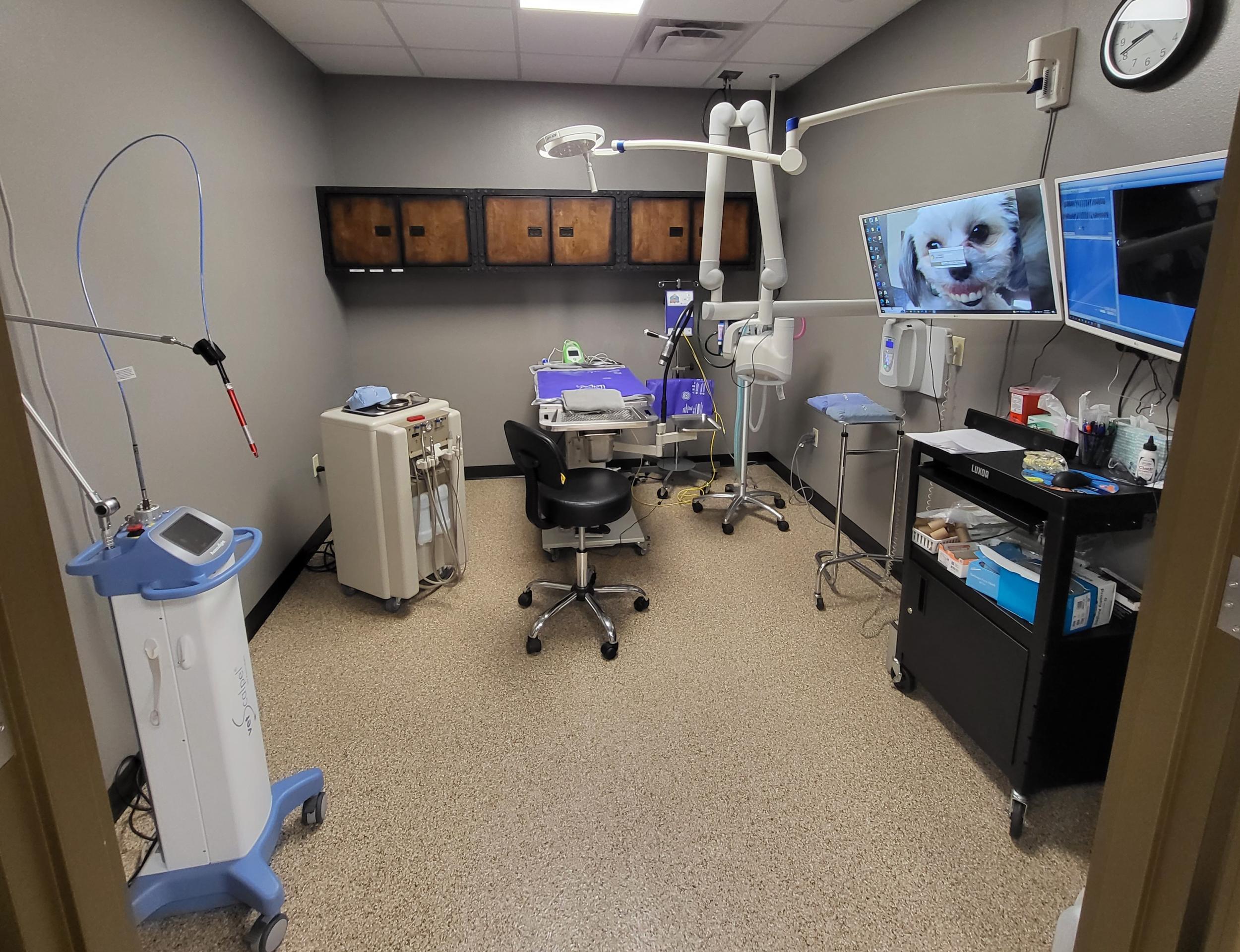 Dental Suite at The Hometown Veterinarian