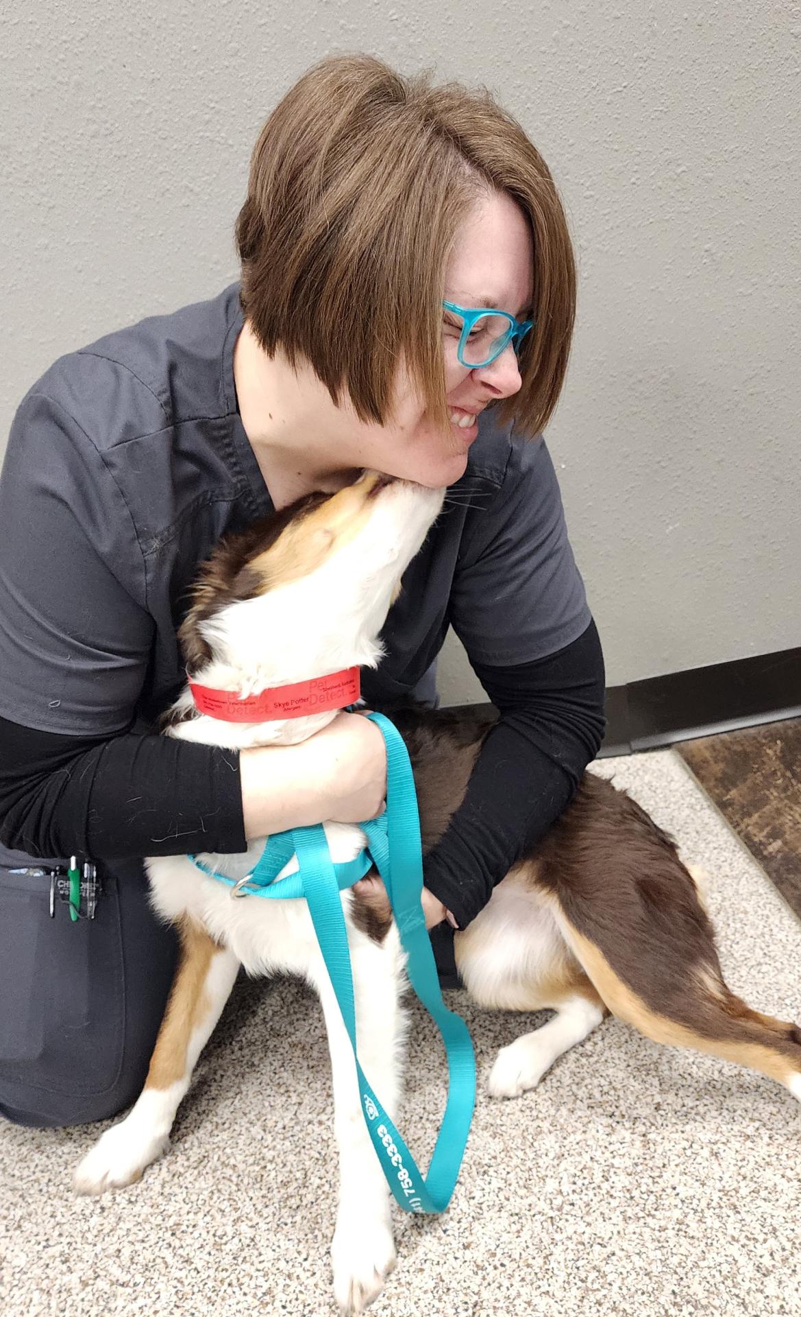 Puppy enjoying an veterinary assistant's attention