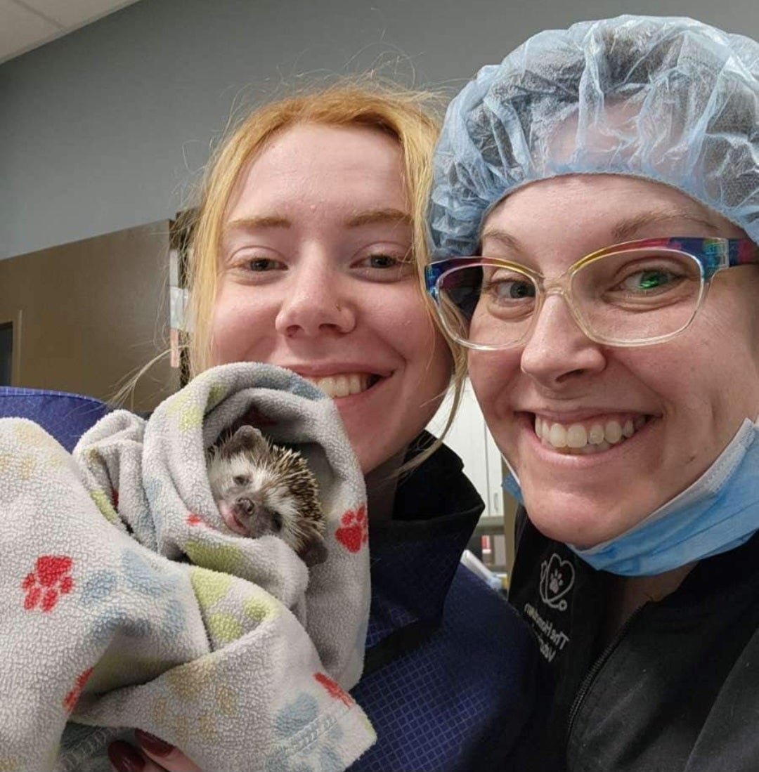 Careers The Hometown Veterinarian