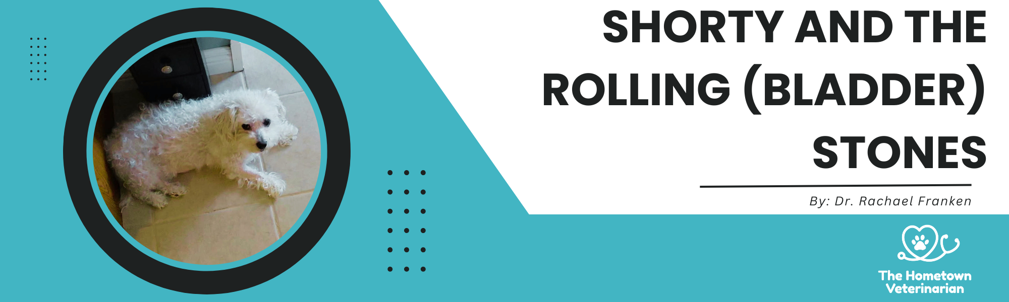 Shorty-And-The-Rolling-Bladder-Stones