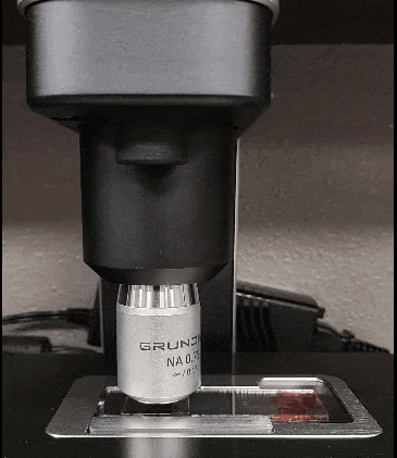 VETSCAN IMAGYST GIF