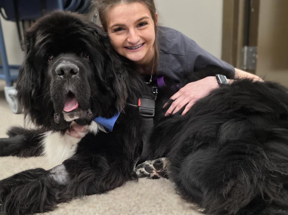 Newfie Feeling Good After Surgery
