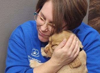 Common Misconceptions About Pain in Dogs and Cats